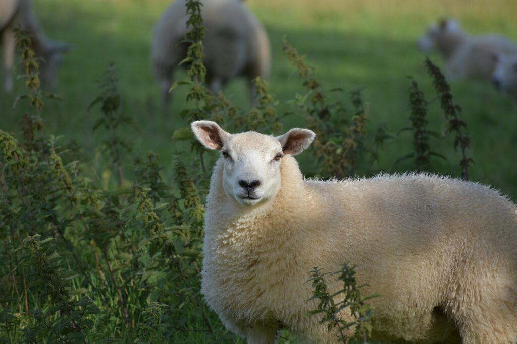 andrew-hall-aYxE7EqaSSo-unsplash